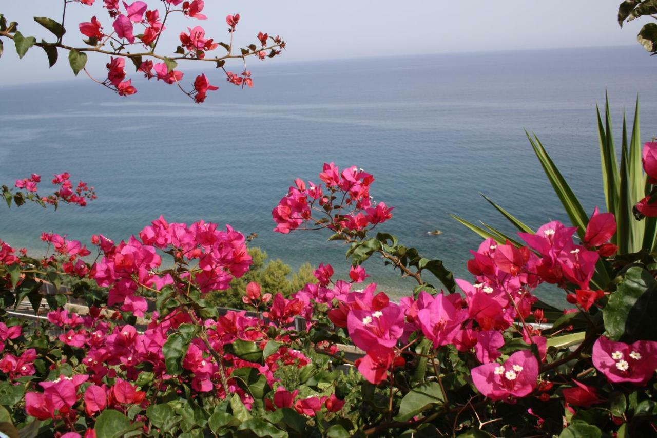 Camere & Case Vacanze Lo Scoglio 卡斯特图萨 外观 照片